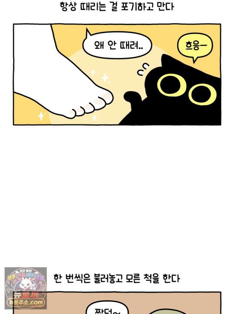 먼지 덩어리 짱덕 26． 리액션 고양이 22
