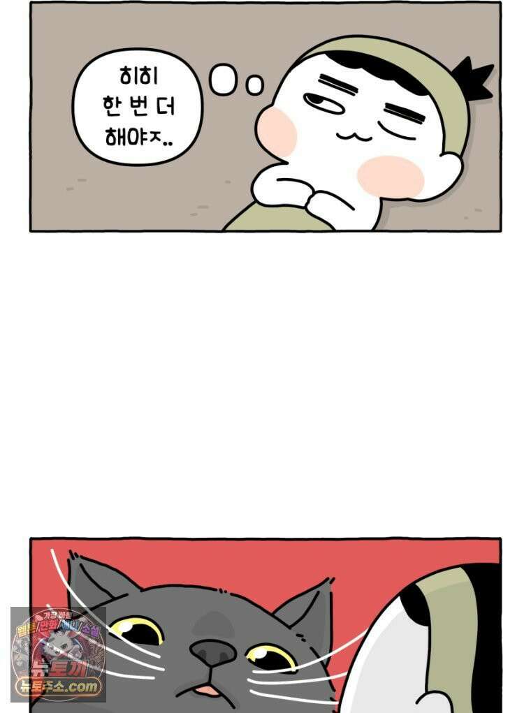 먼지 덩어리 짱덕 26． 리액션 고양이 24