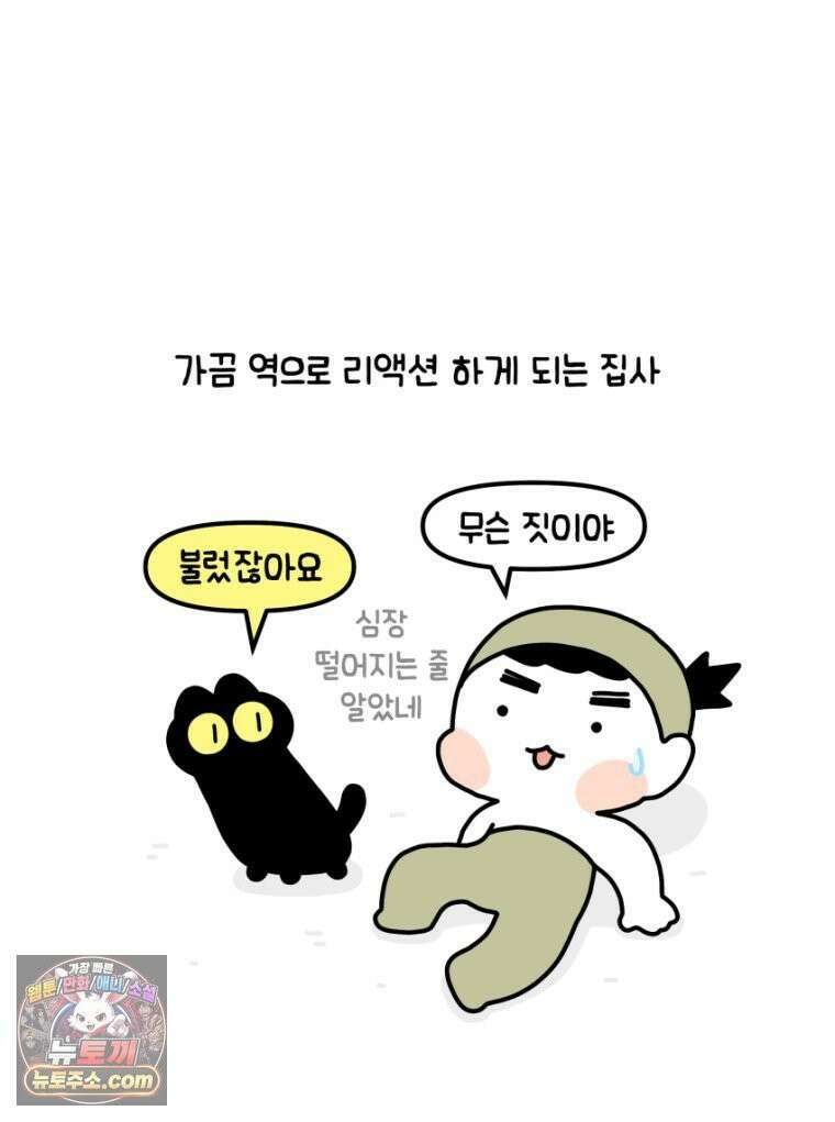 먼지 덩어리 짱덕 26． 리액션 고양이 26
