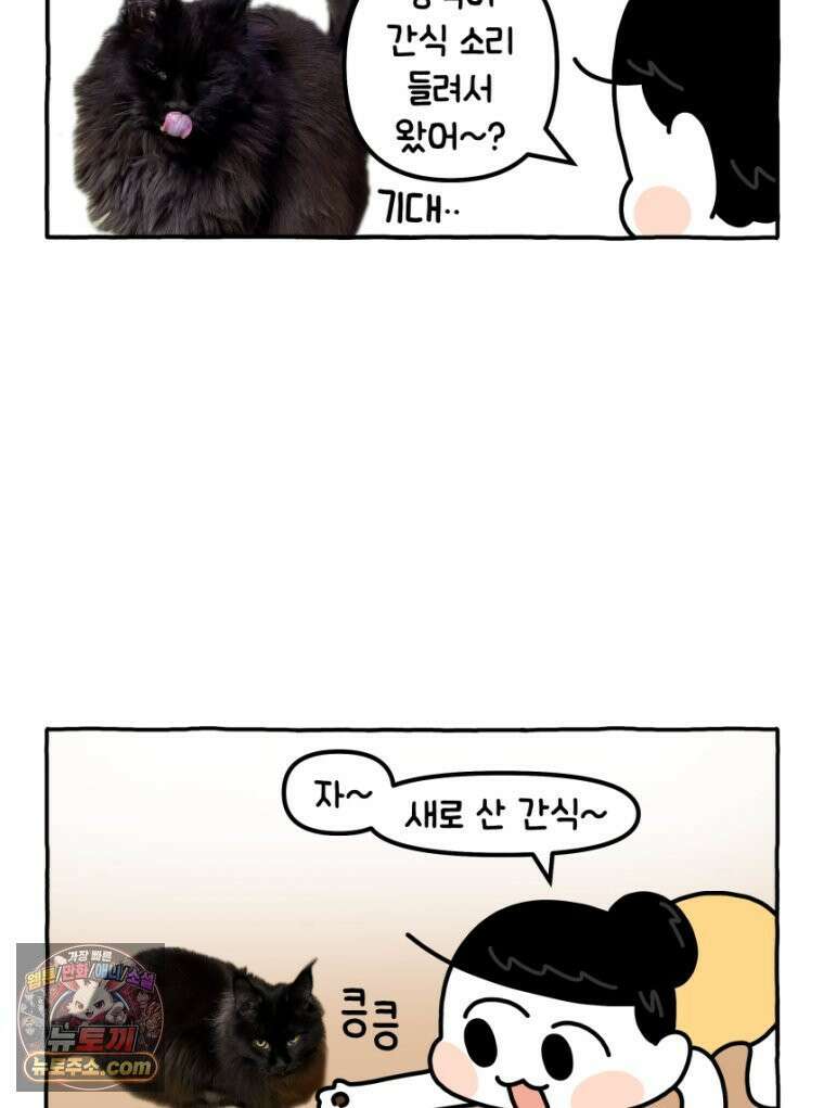 먼지 덩어리 짱덕 33． 편식쟁이 짱덕 3