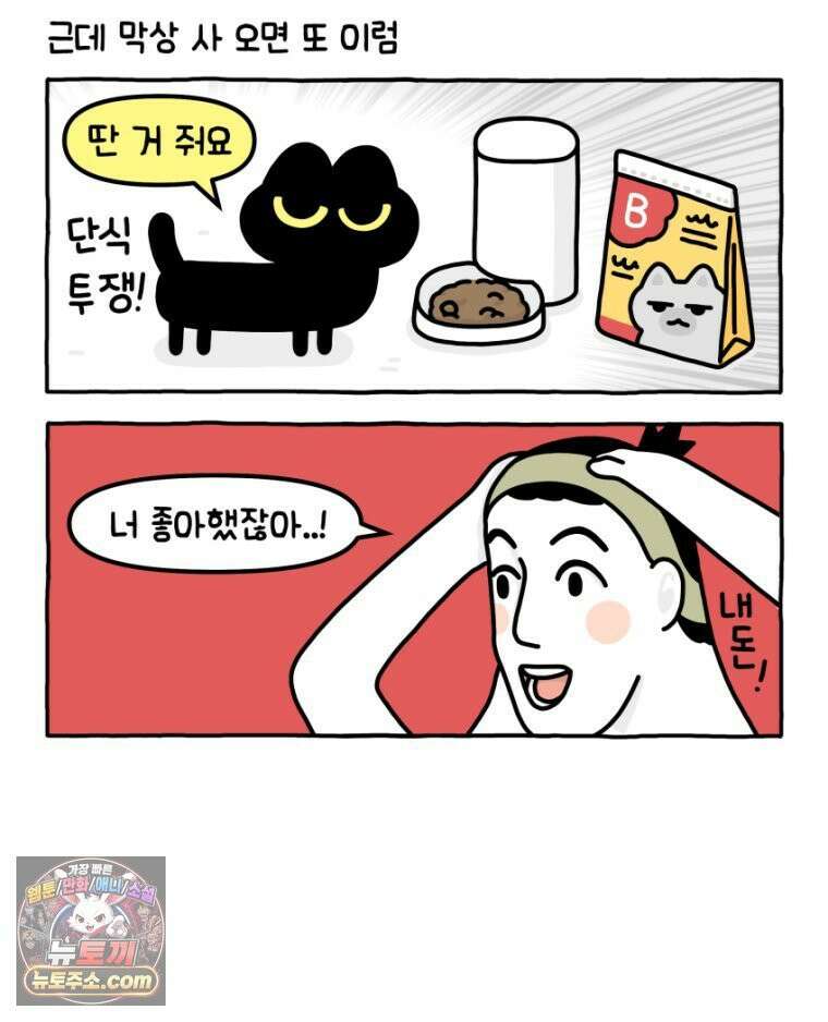 먼지 덩어리 짱덕 33． 편식쟁이 짱덕 15