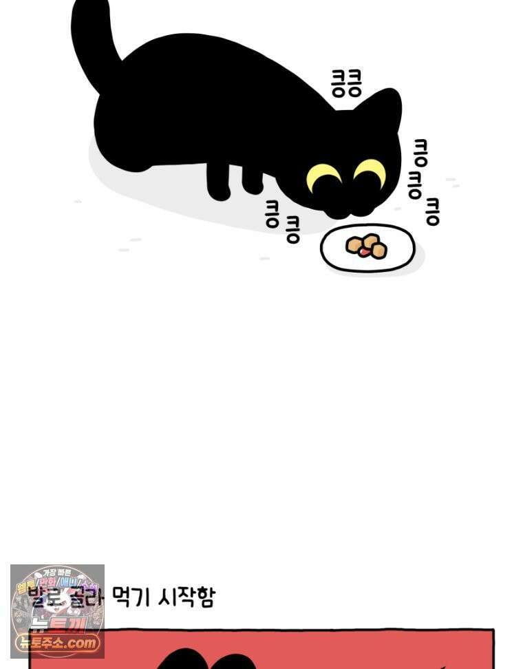 먼지 덩어리 짱덕 33． 편식쟁이 짱덕 24