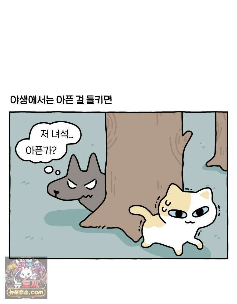 먼지 덩어리 짱덕 56． 비싼 병원 3