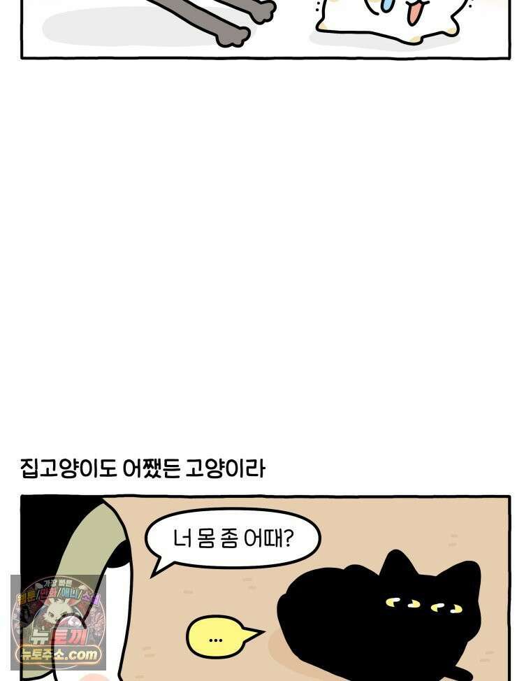 먼지 덩어리 짱덕 56． 비싼 병원 5