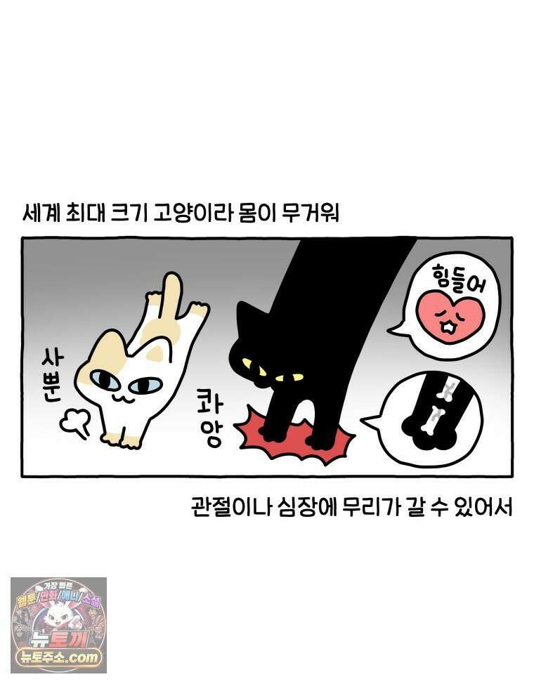 먼지 덩어리 짱덕 56． 비싼 병원 9