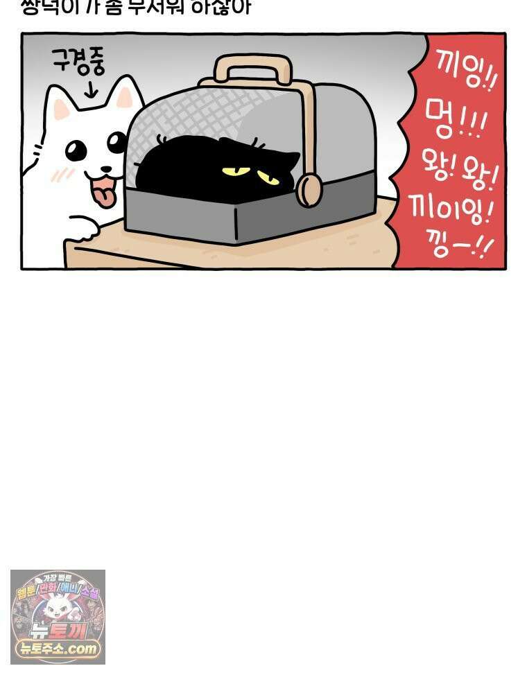 먼지 덩어리 짱덕 56． 비싼 병원 13