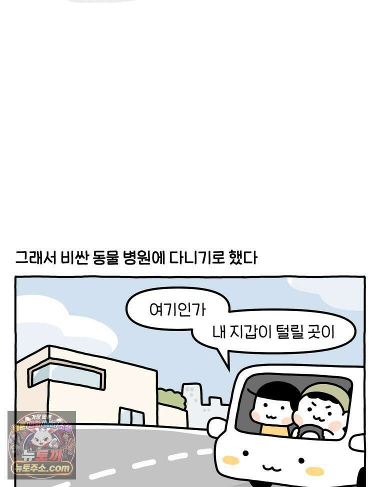 먼지 덩어리 짱덕 56． 비싼 병원 18