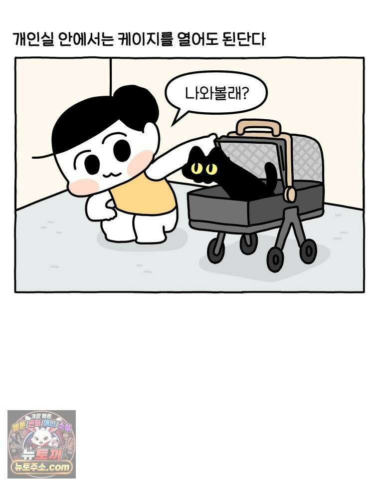 먼지 덩어리 짱덕 56． 비싼 병원 24
