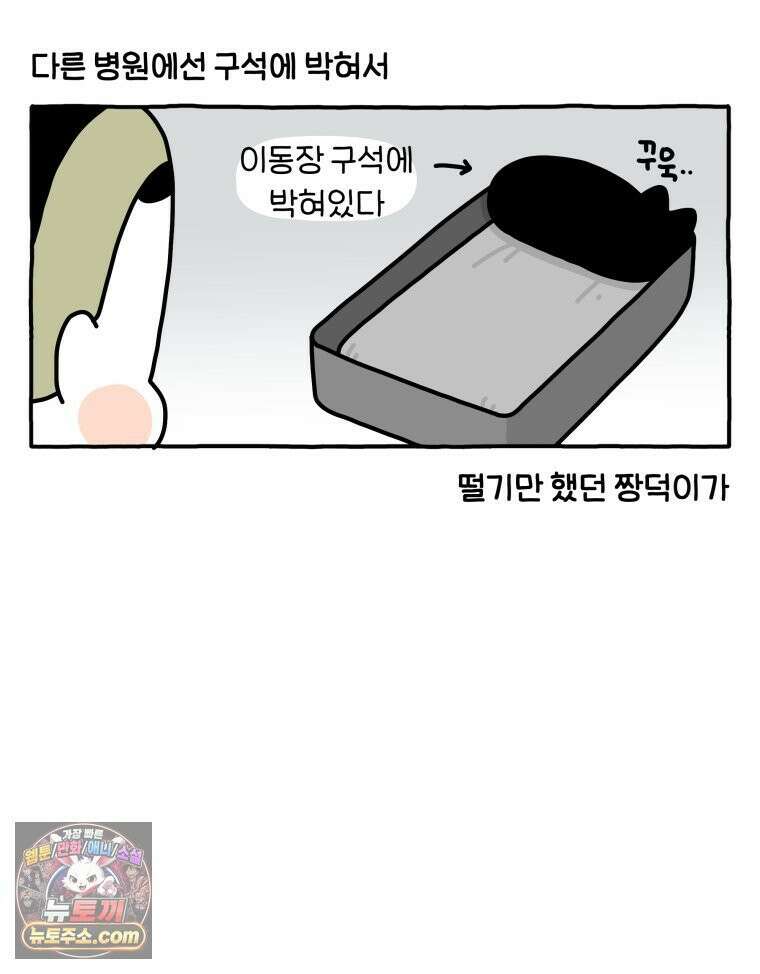 먼지 덩어리 짱덕 56． 비싼 병원 25