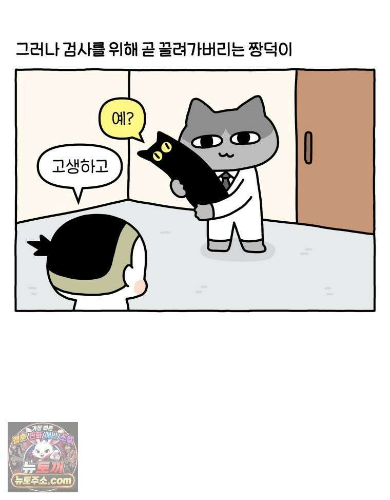 먼지 덩어리 짱덕 56． 비싼 병원 28