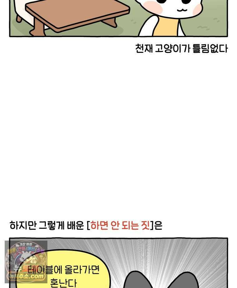 먼지 덩어리 짱덕 62． 하지마 6