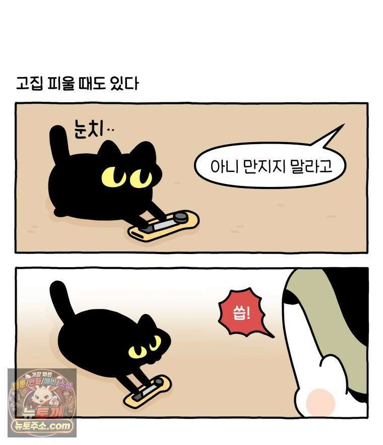 먼지 덩어리 짱덕 62． 하지마 22