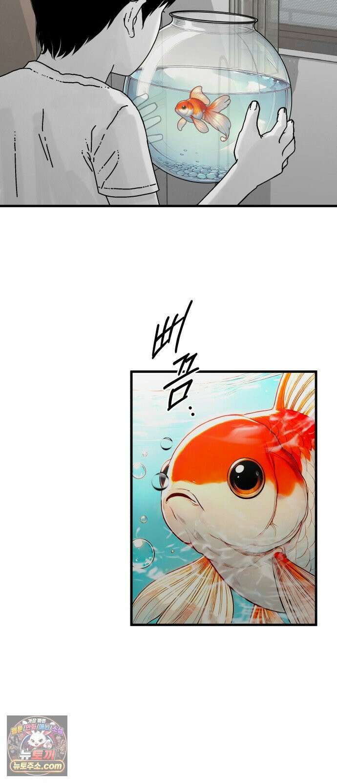 신체 8화 15