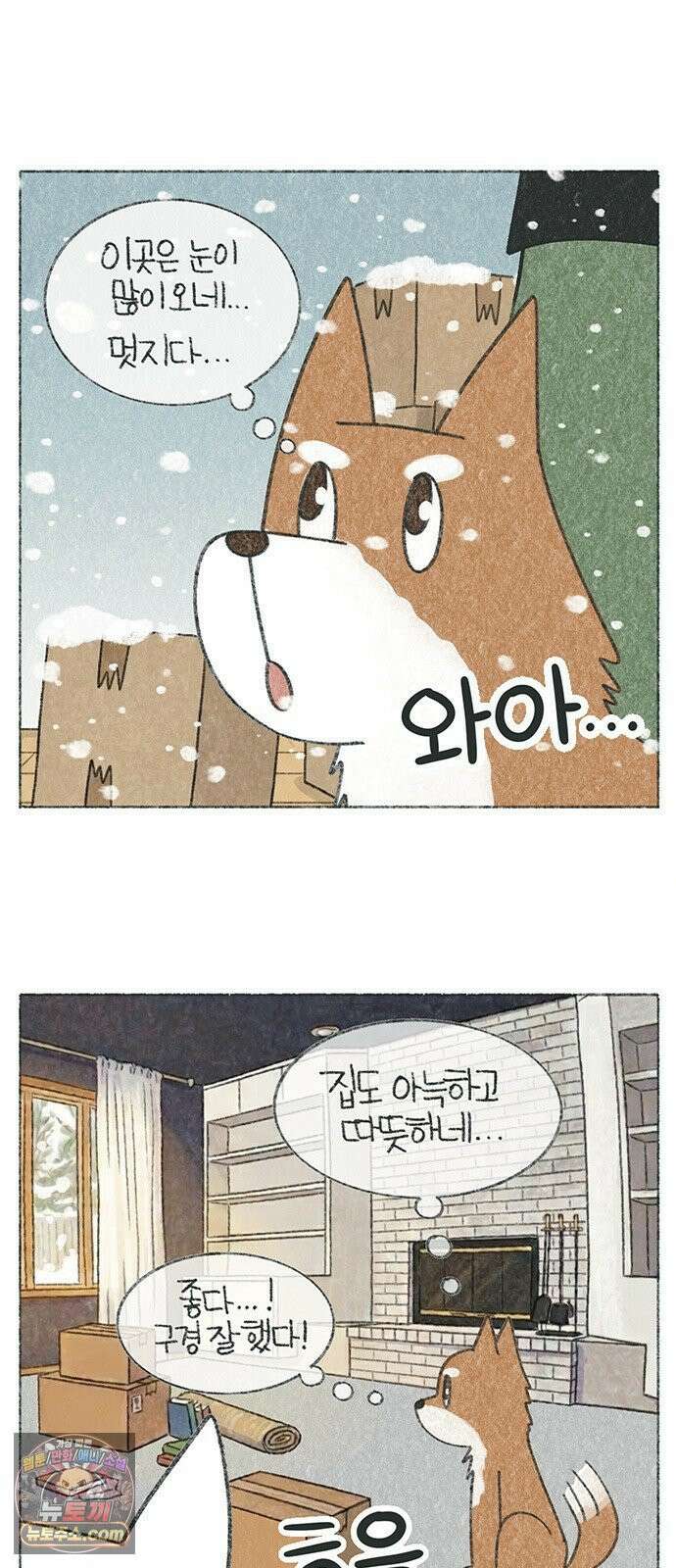 마님이네 미국 시골집 이야기 274화 여기 내 집 아니야 2
