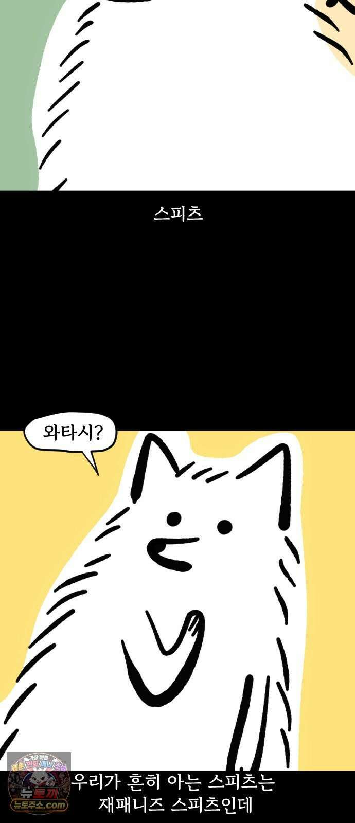 개집사 151화: 알바 일지?견종 특집?-스피츠 편 5