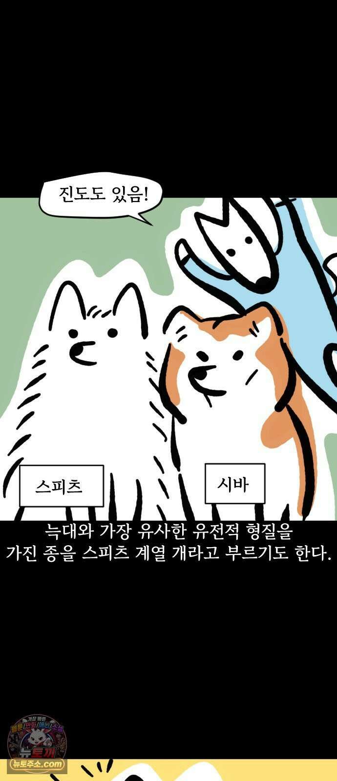 개집사 151화: 알바 일지?견종 특집?-스피츠 편 6