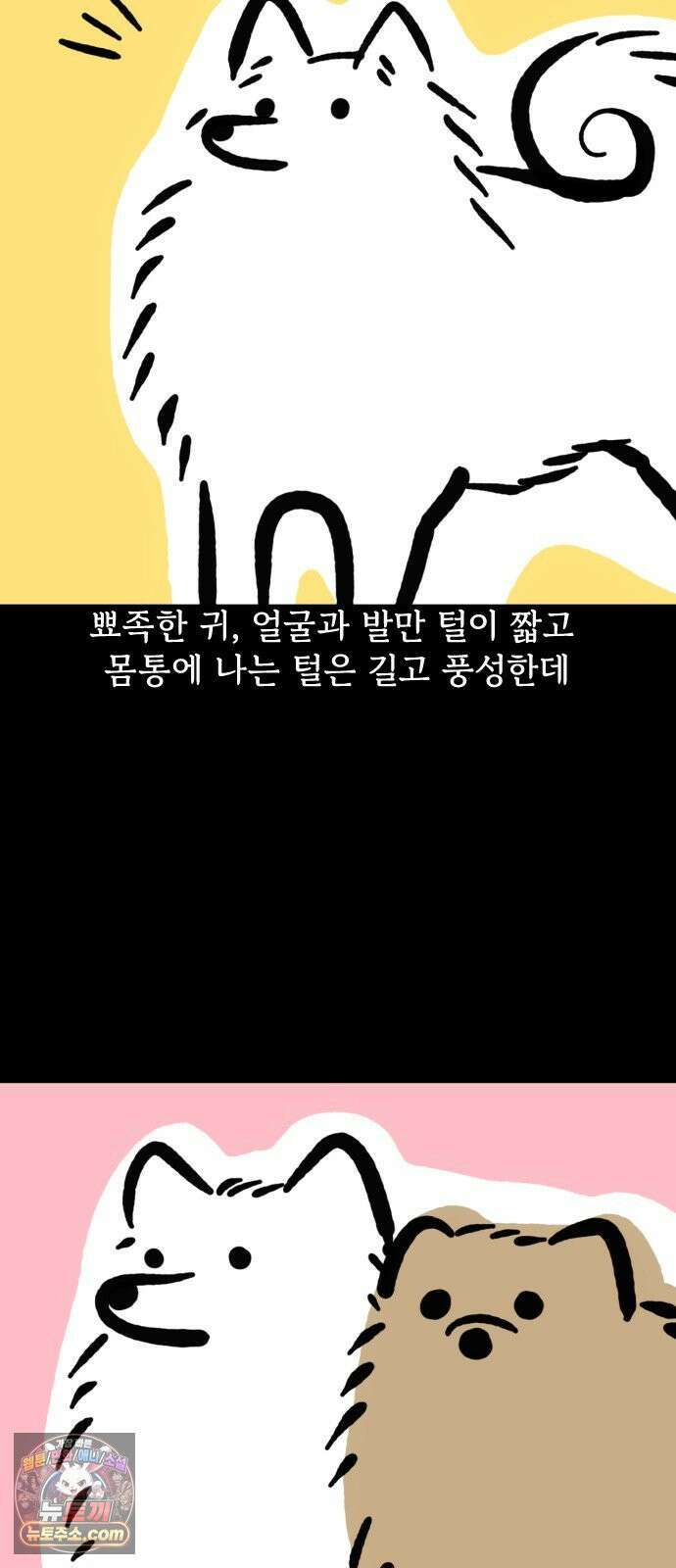 개집사 151화: 알바 일지?견종 특집?-스피츠 편 7