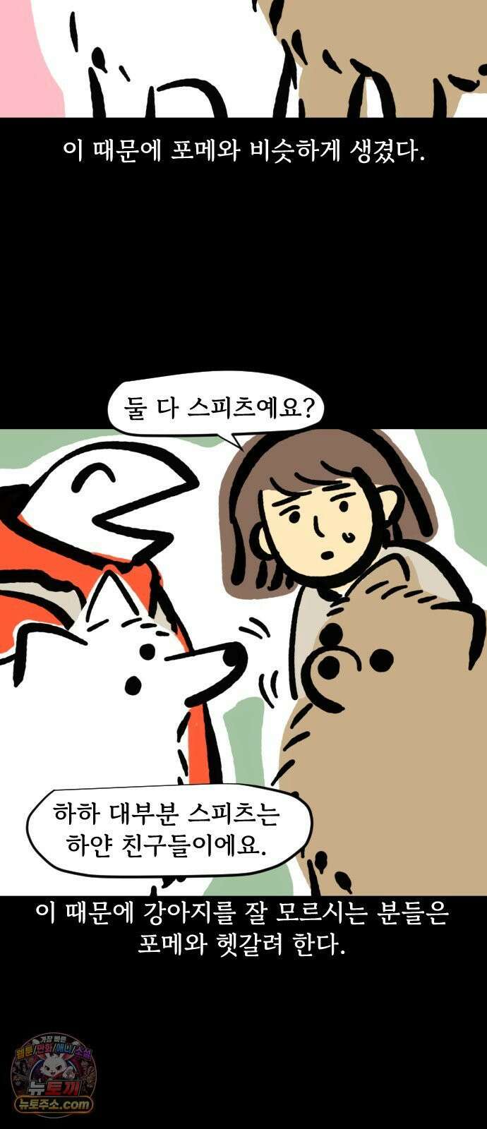 개집사 151화: 알바 일지?견종 특집?-스피츠 편 8