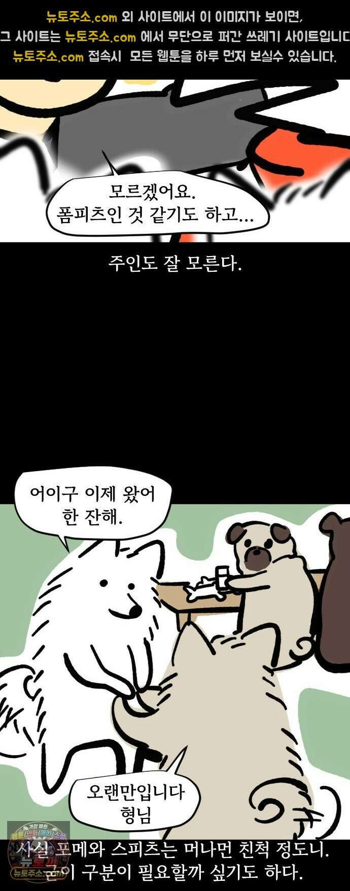 개집사 151화: 알바 일지?견종 특집?-스피츠 편 10