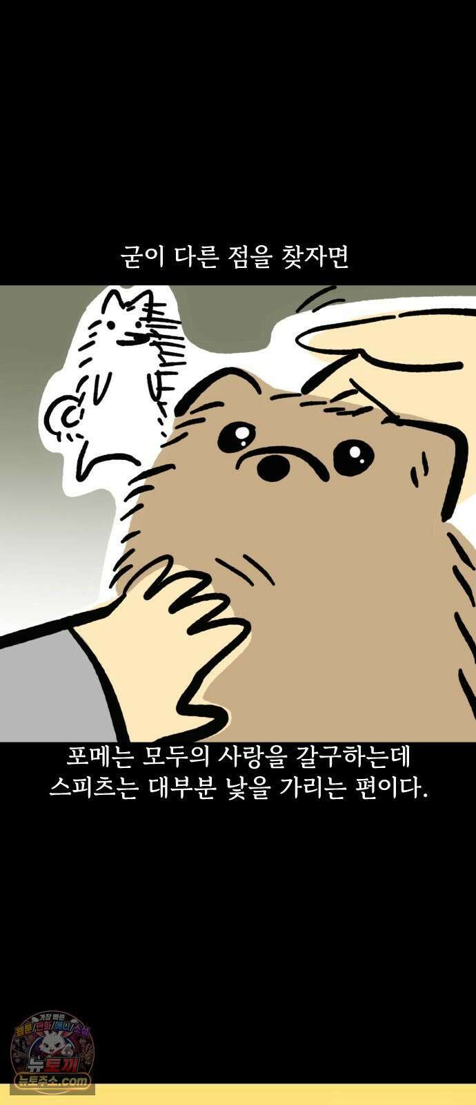 개집사 151화: 알바 일지?견종 특집?-스피츠 편 11