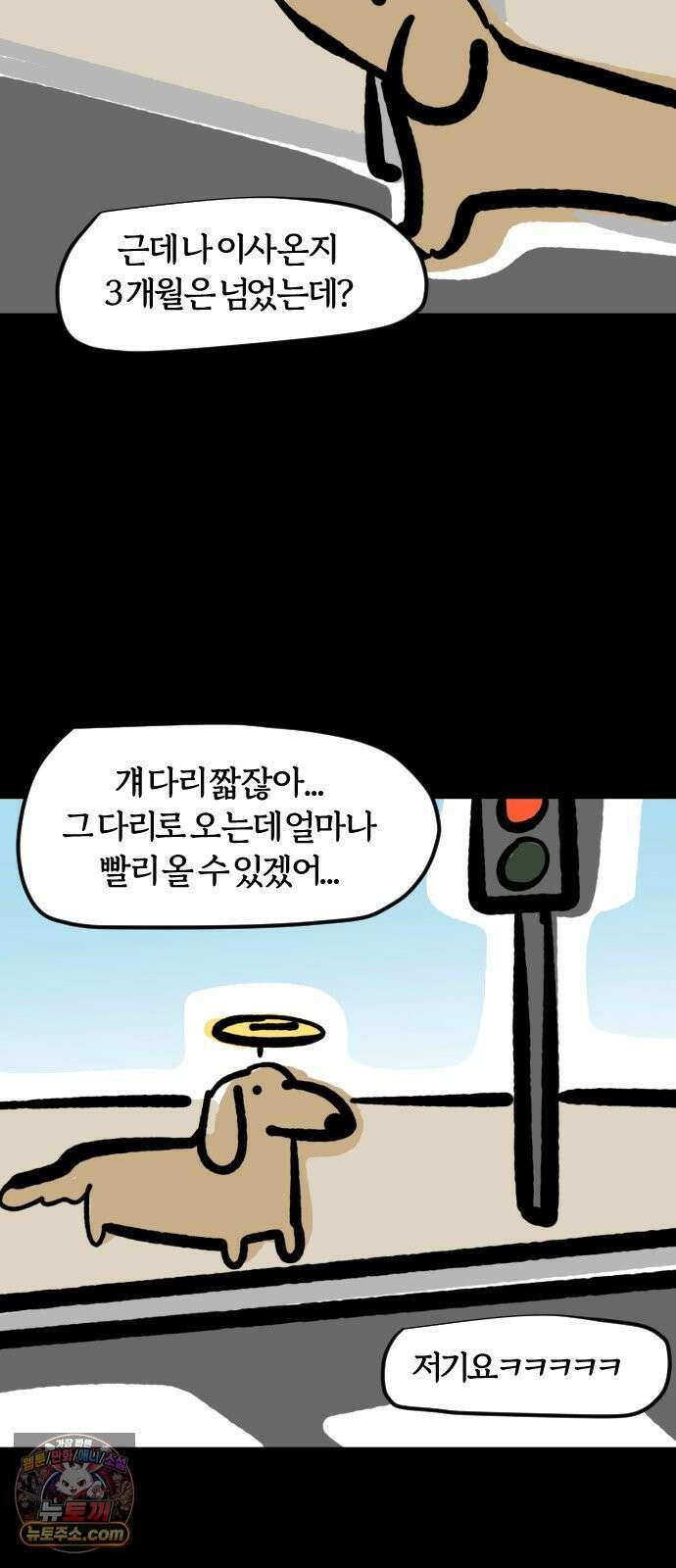 개집사 161화: 보고싶었어 17