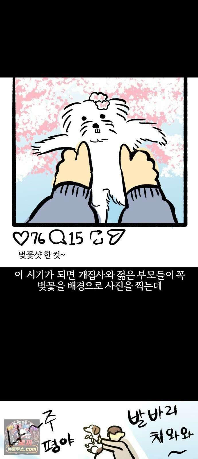 개집사 188화: 벚꽃구경 4