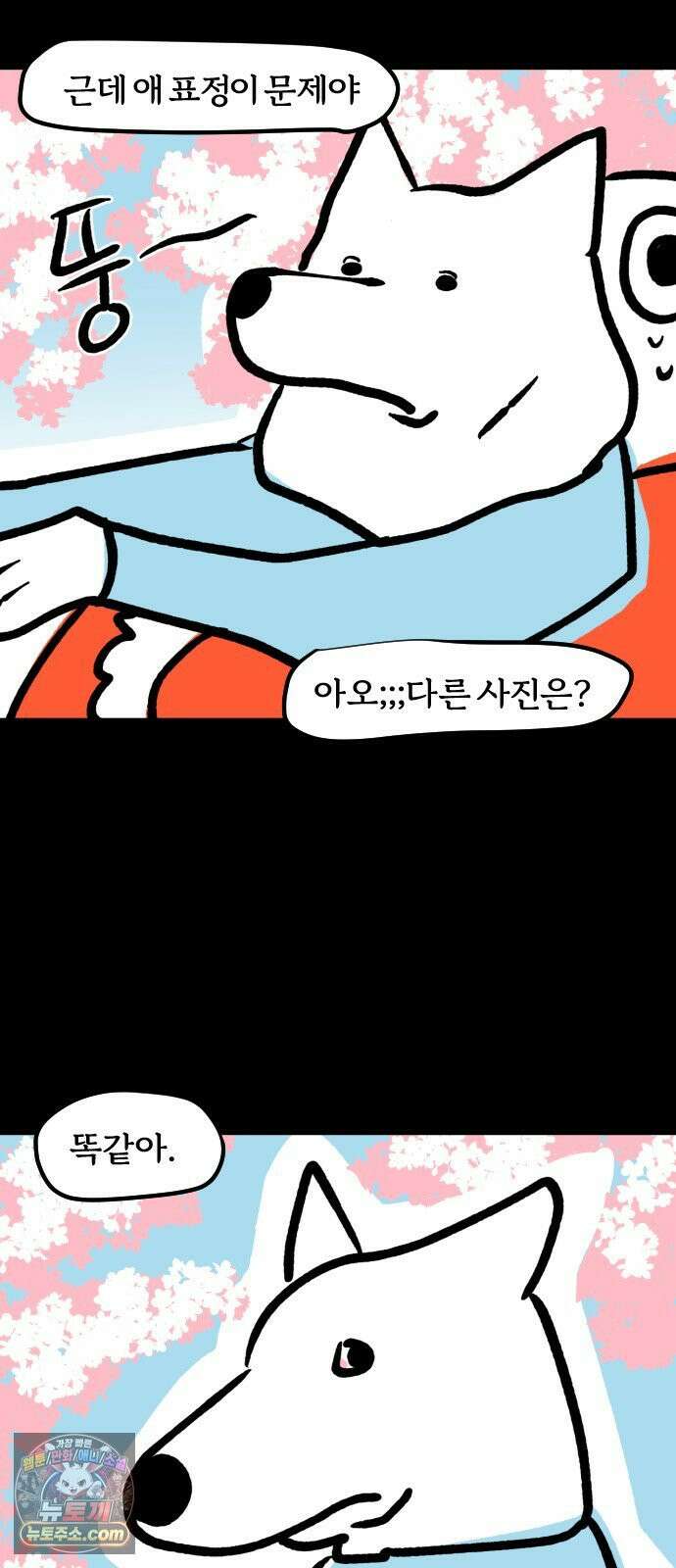 개집사 188화: 벚꽃구경 12