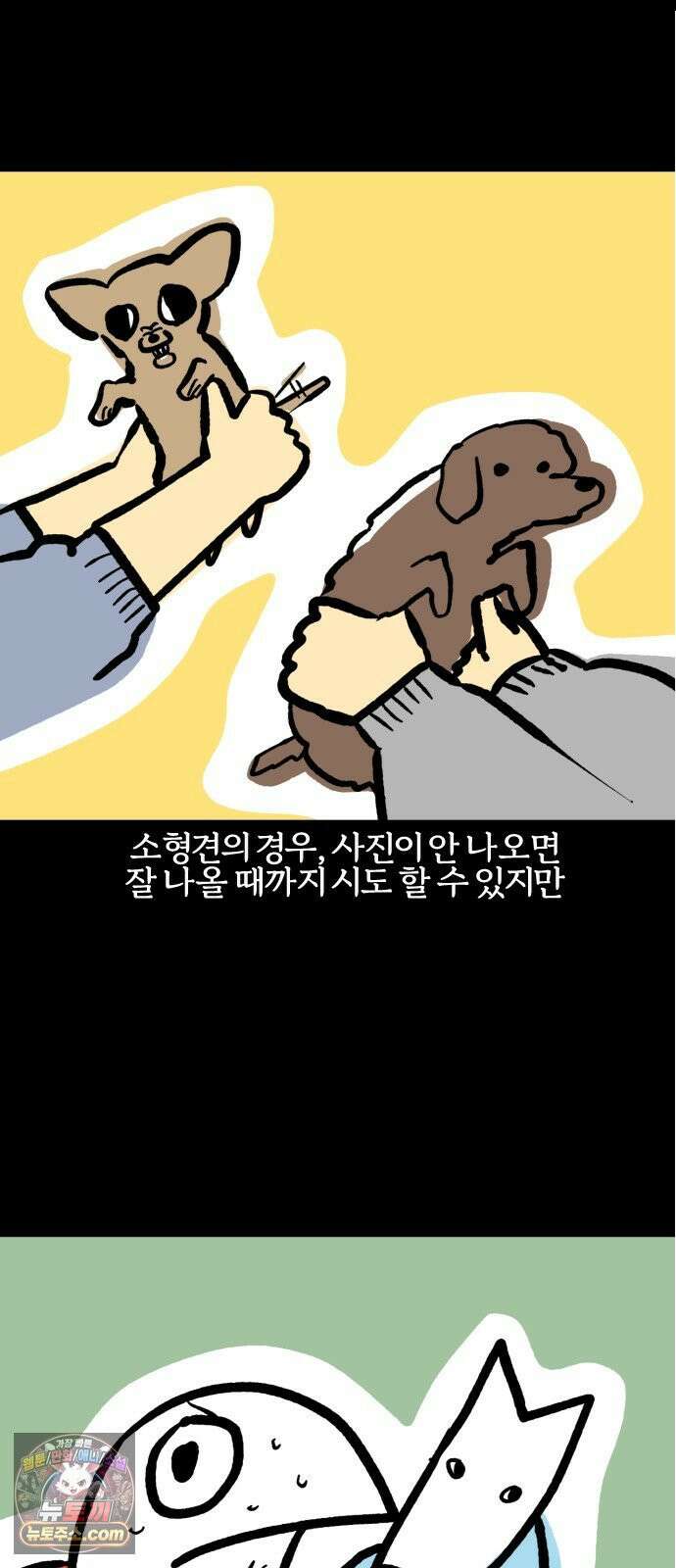 개집사 188화: 벚꽃구경 14