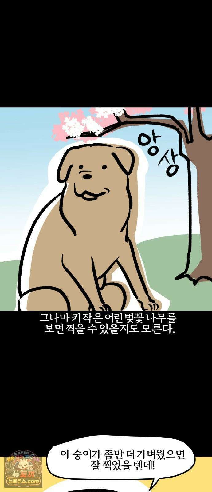 개집사 188화: 벚꽃구경 16