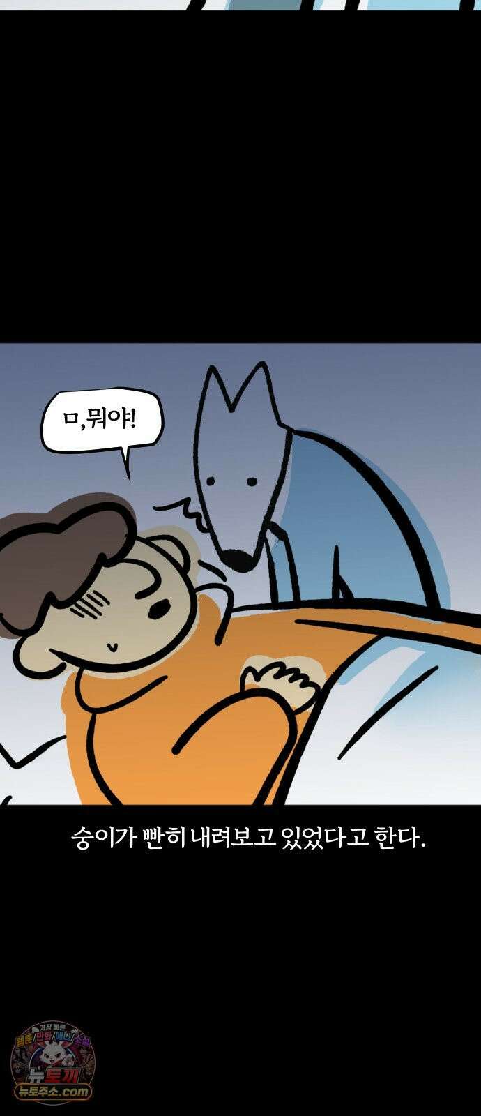 개집사 194화: 방 혼자 쓰나 8