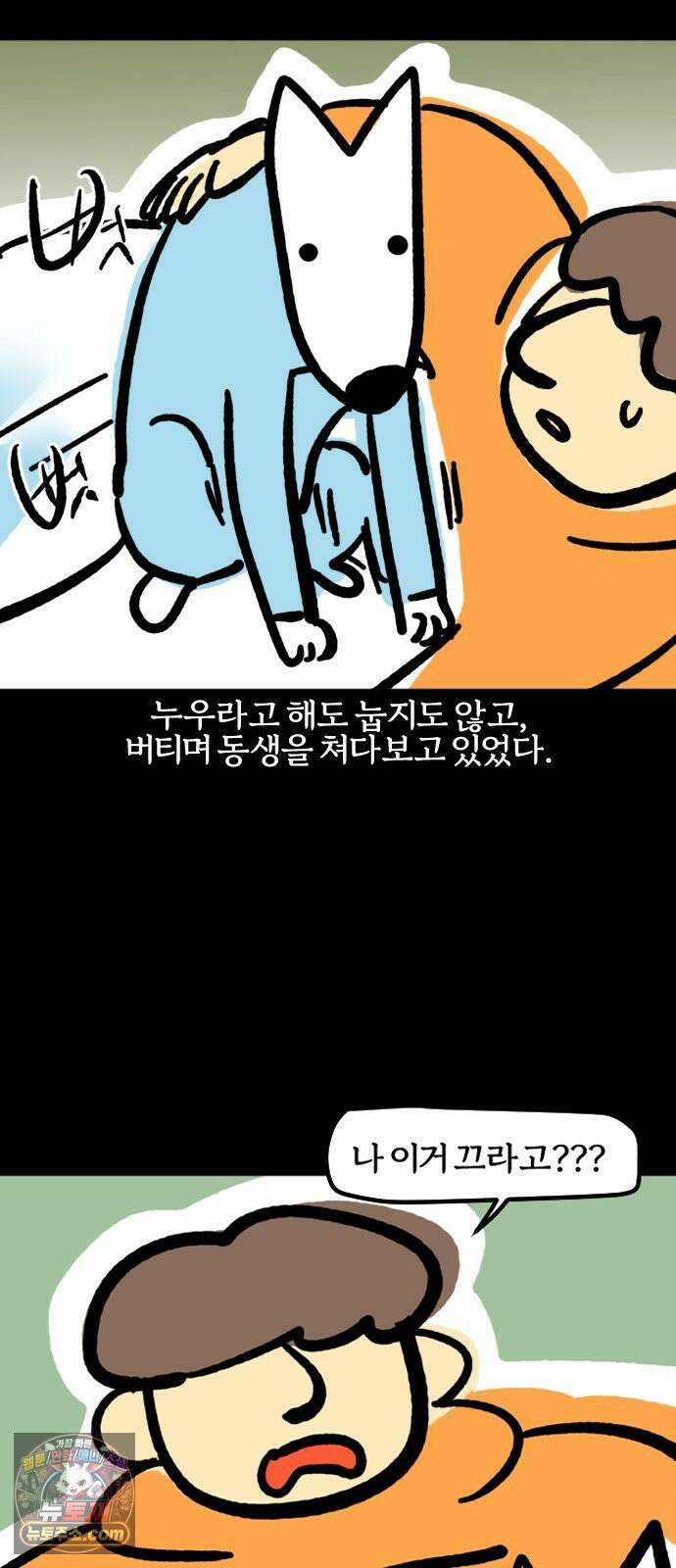 개집사 194화: 방 혼자 쓰나 9