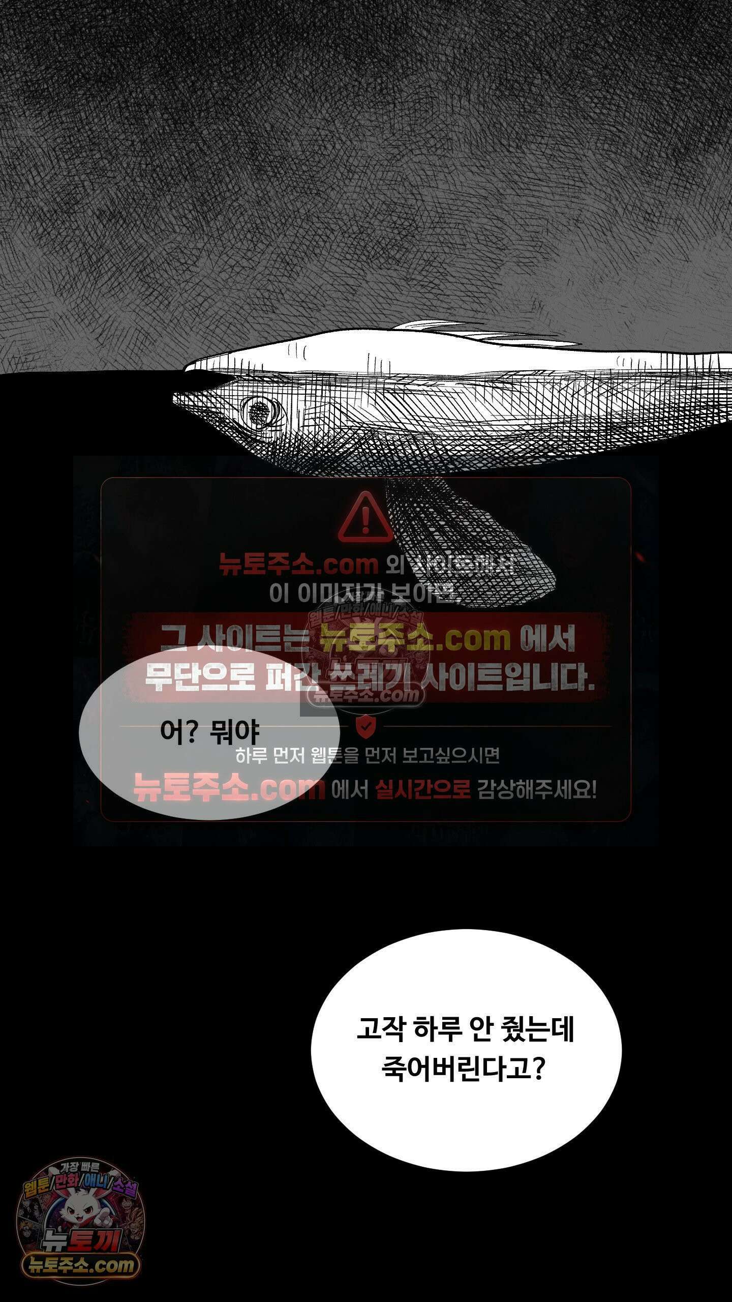 곰포만화 무늬 13