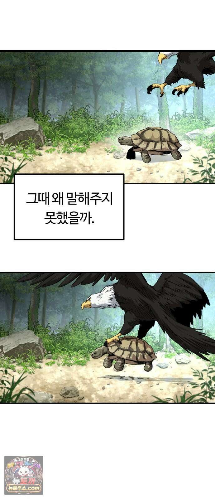 스마일 복서 40화 2