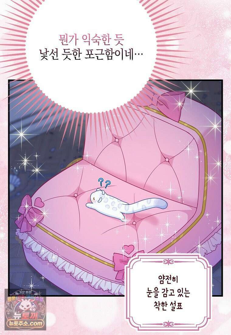 흑표 가문의 설표 아기님 흑표 가문의 동물 가족들 11화 21