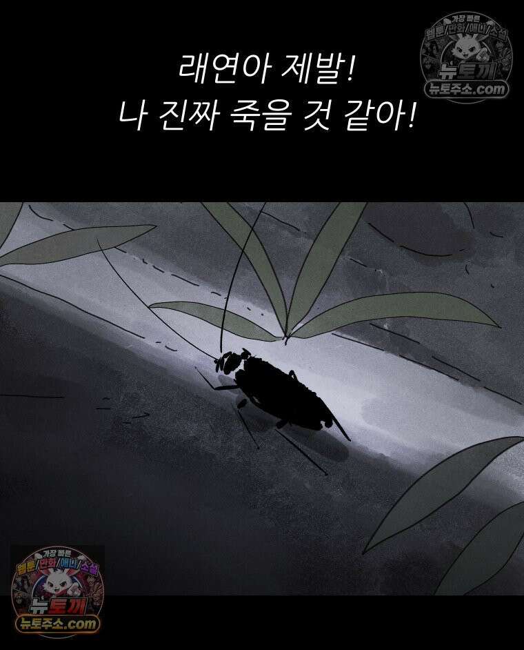 바퀴벌레 잔혹사 13화 15
