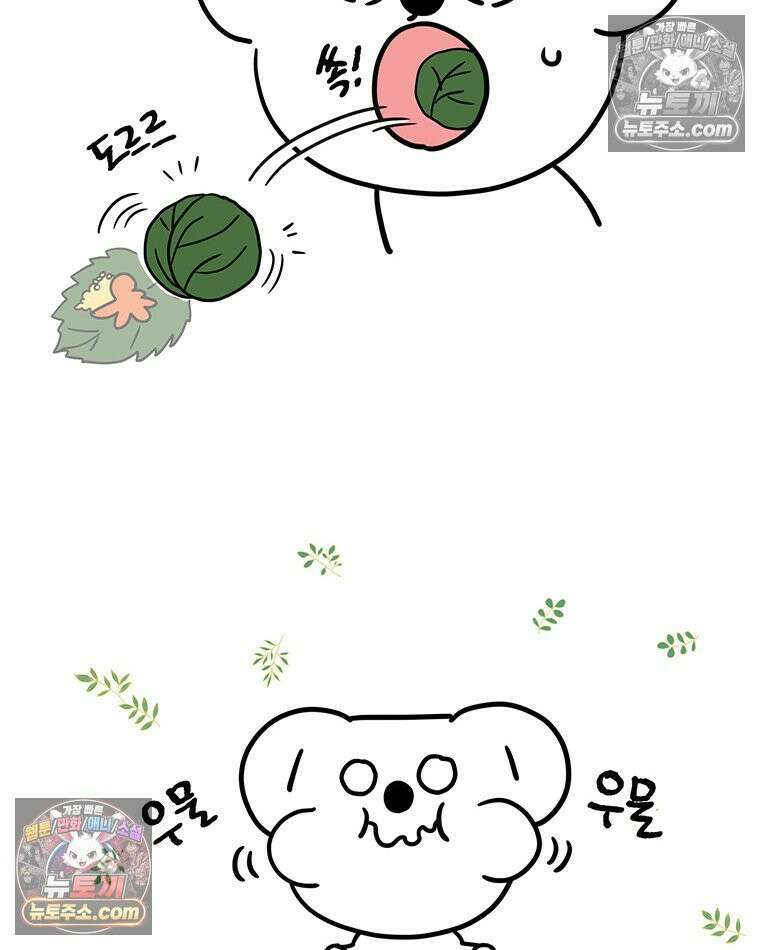 코알랄라 175화 쭈꾸미알쌈 11