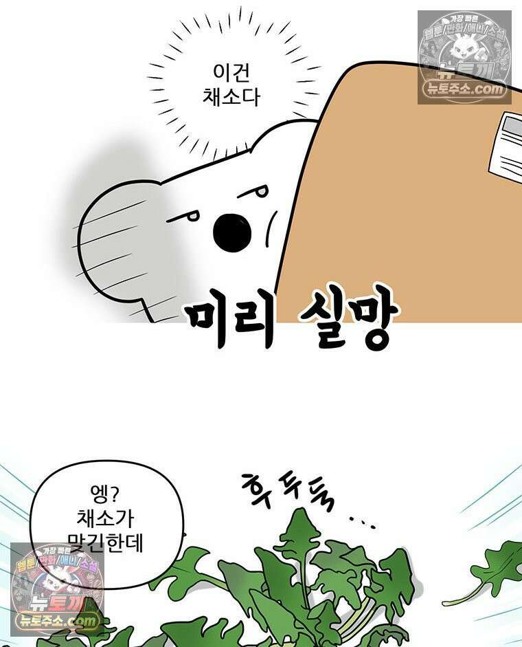 코알랄라 193화 섬초계란말이 2