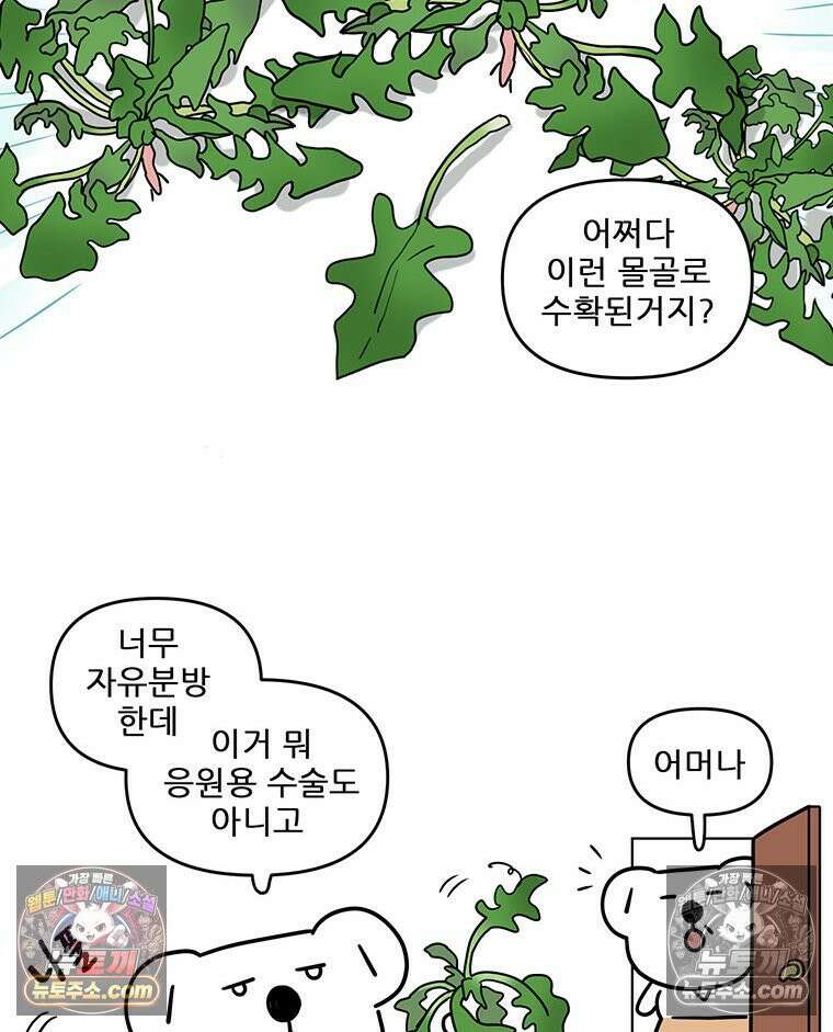 코알랄라 193화 섬초계란말이 3