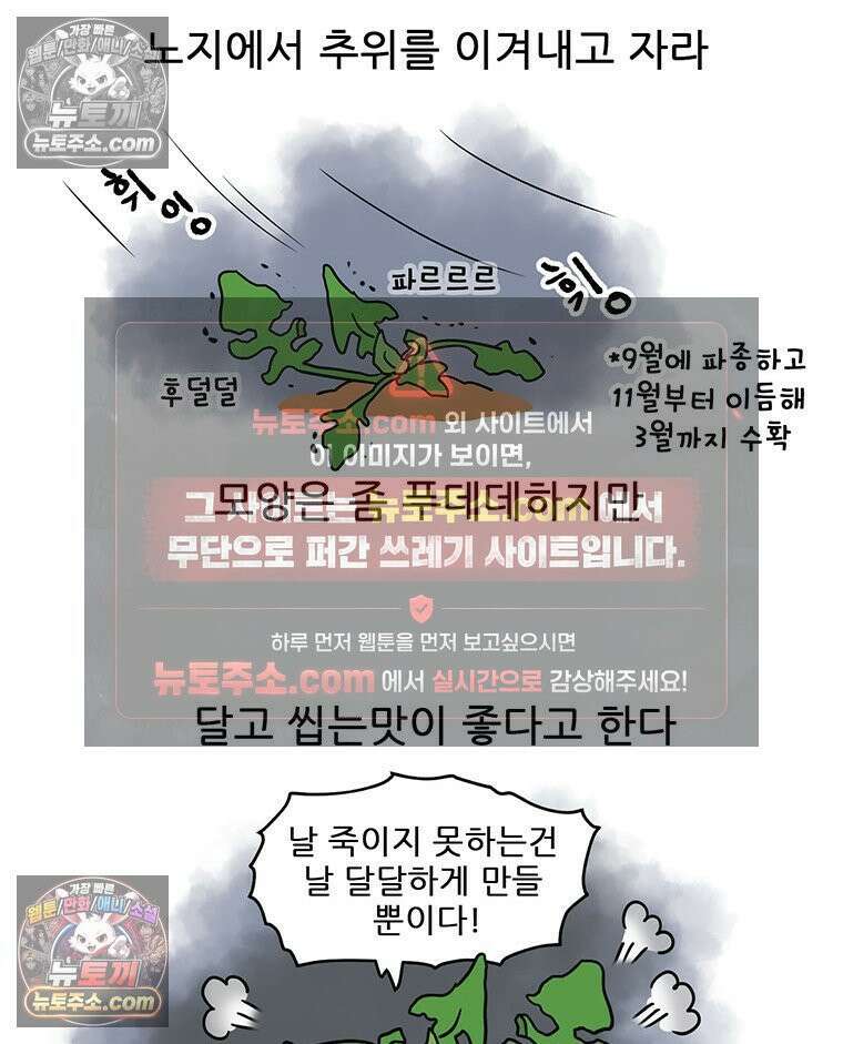 코알랄라 193화 섬초계란말이 6