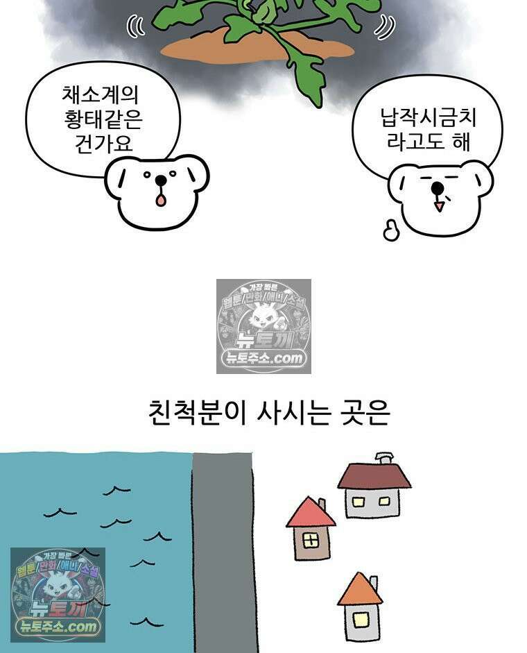 코알랄라 193화 섬초계란말이 7