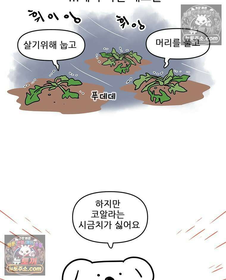 코알랄라 193화 섬초계란말이 9