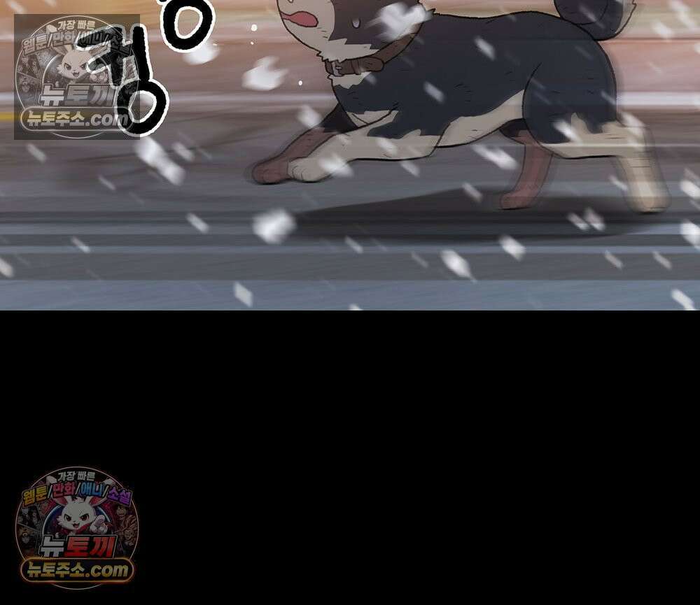 무지개다리 파수꾼 187화 41