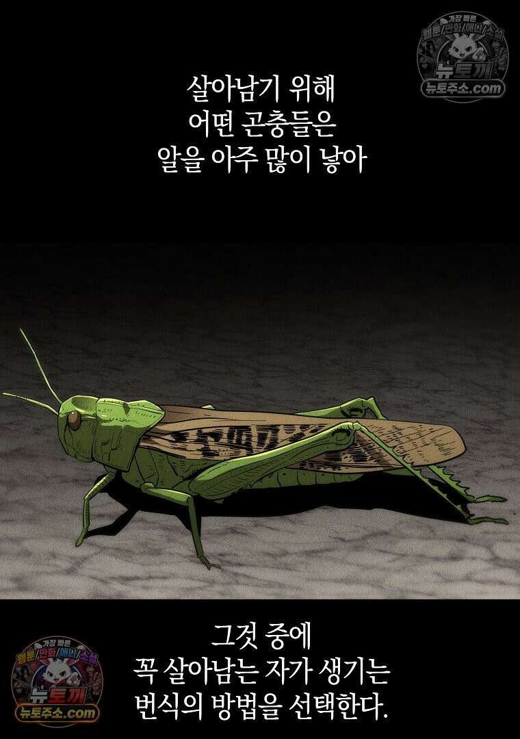 개미 10화 7