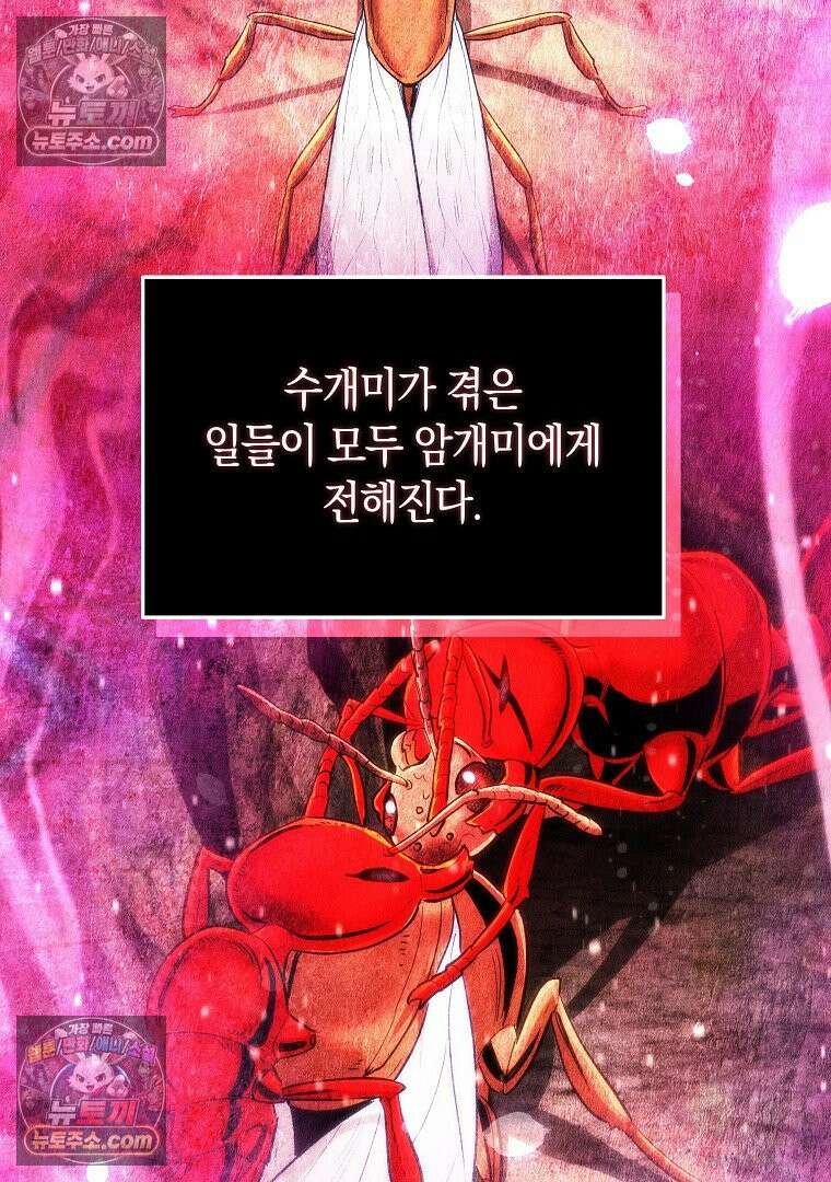 개미 16화 10