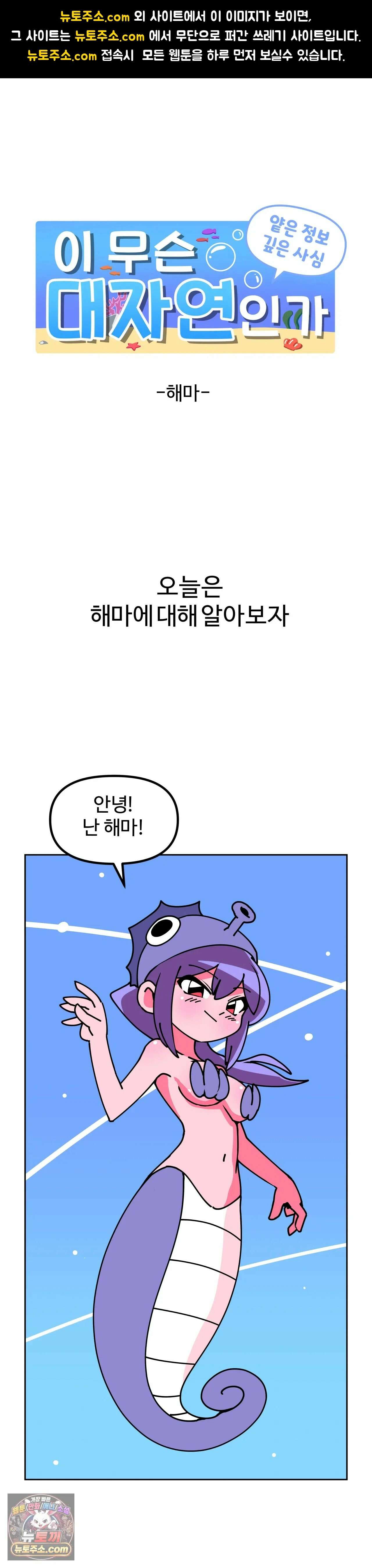 이 무슨 대자연인가 6화 - 해마 1