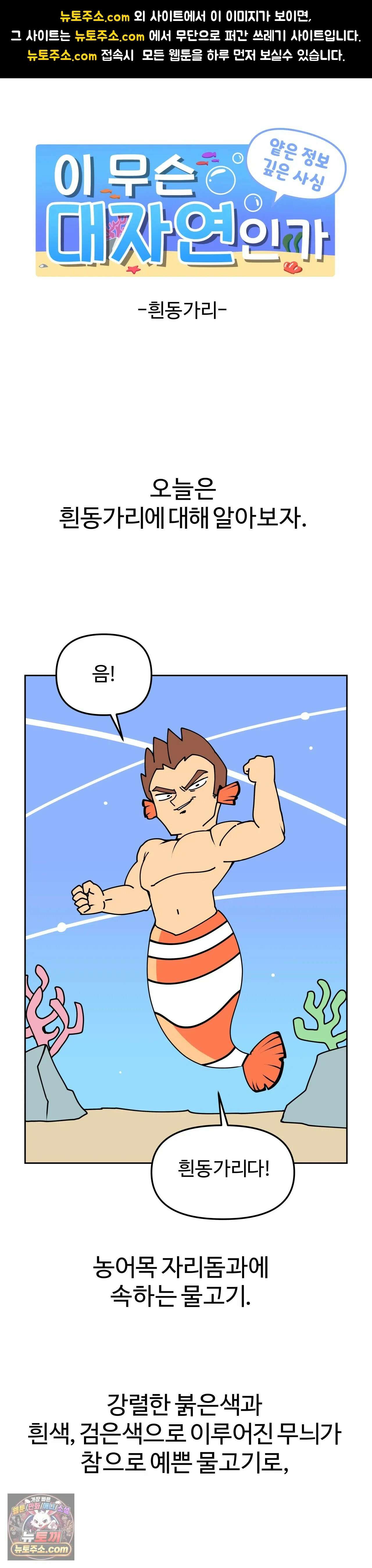이 무슨 대자연인가 11화 - 흰동가리 1