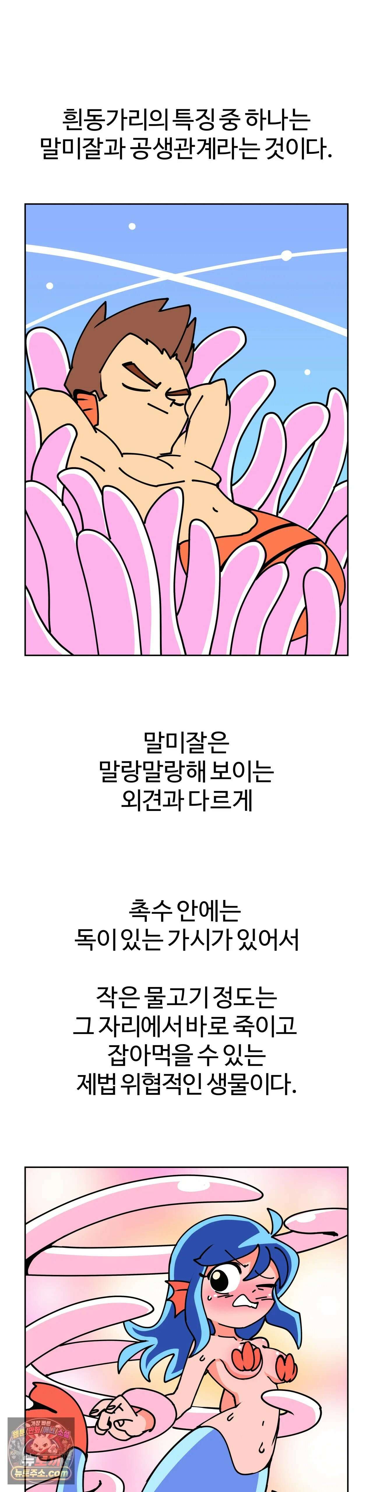 이 무슨 대자연인가 11화 - 흰동가리 3