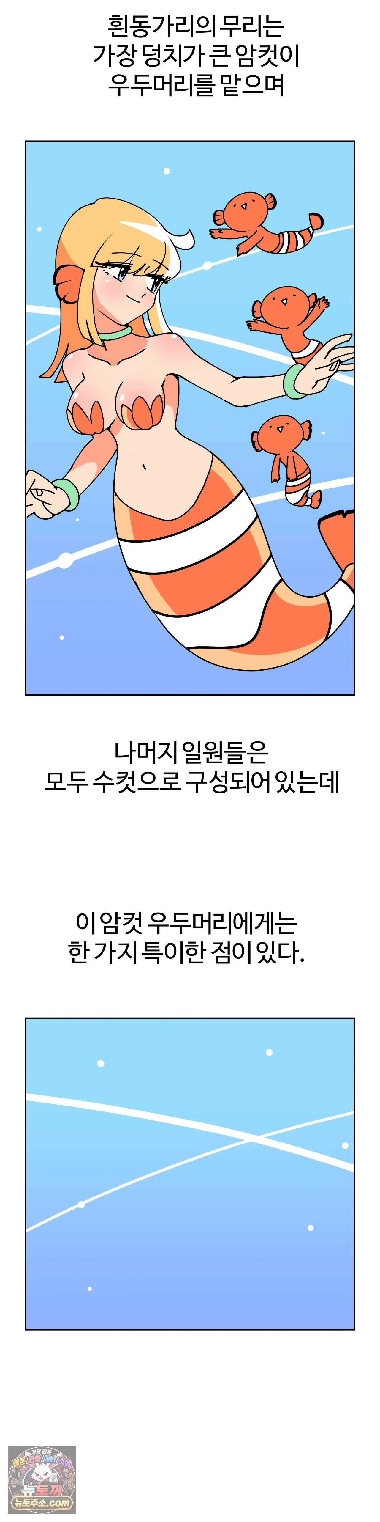 이 무슨 대자연인가 11화 - 흰동가리 5