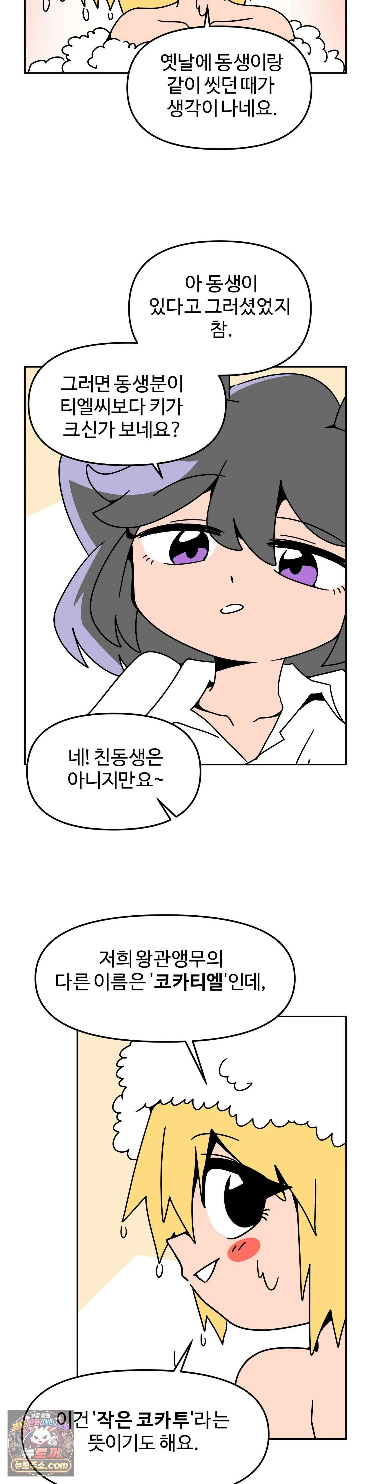 이 무슨 대자연인가 95화 - 왕관앵무2 5