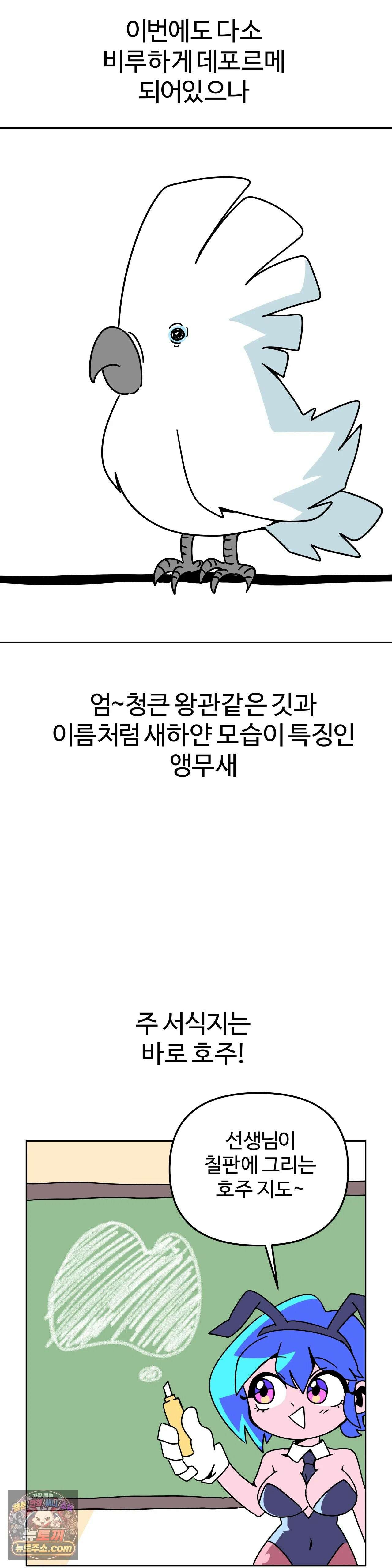 이 무슨 대자연인가 95화 - 왕관앵무2 12